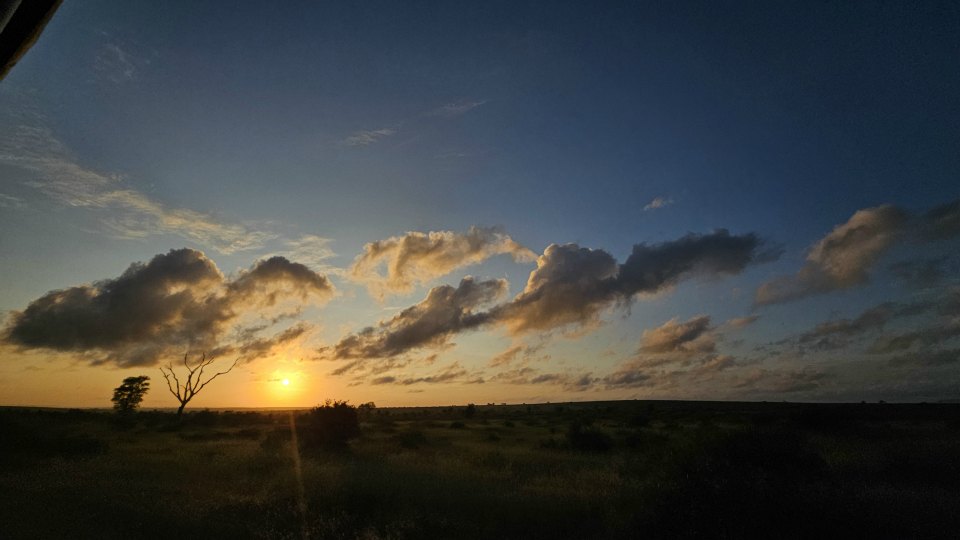 <h2>The Best of South Africa Escorted 2023</h2> 14 Nights | 6 Rounds | March 11 - 25